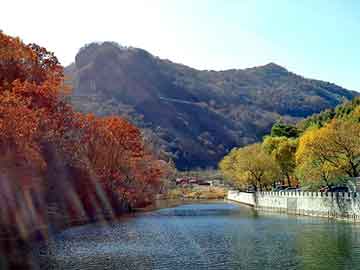 新澳天天开奖资料大全旅游团，重庆黄页